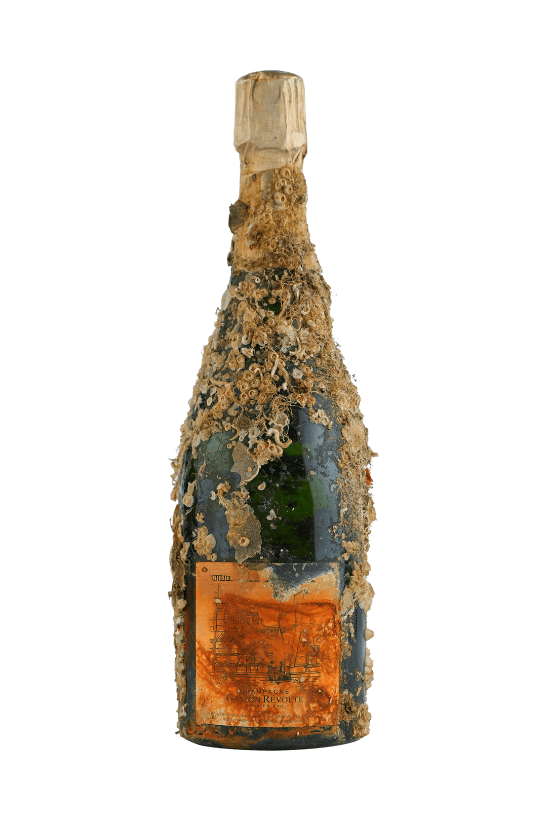 Champagne Don de la Mer Immersion 2024 1er Cru Brut (Gastone Révolte)
